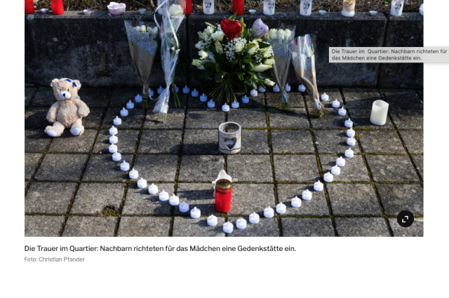 Screenshot Tages-Anzeiger